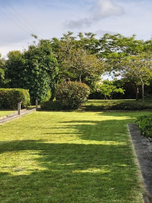 Serviços jardinagem