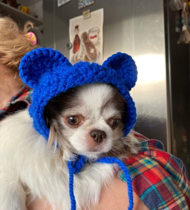 Шапочка для собак