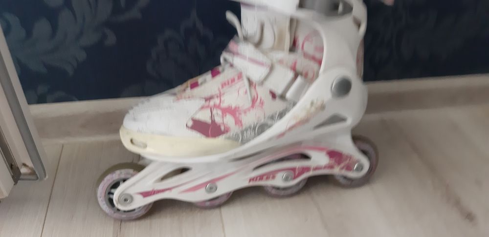 Rolki Roces 38-41