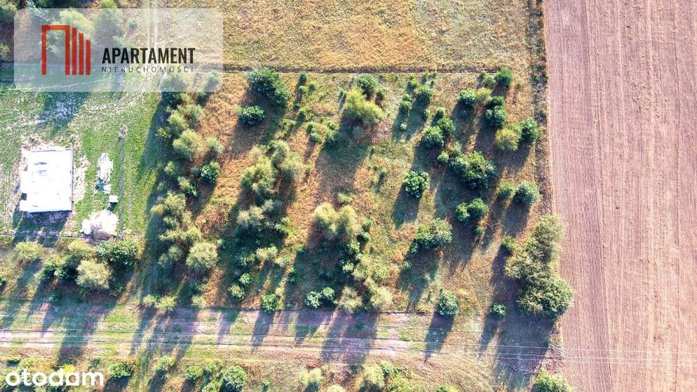 Bogato zalesiona działka z widokiem na las - Widok 3