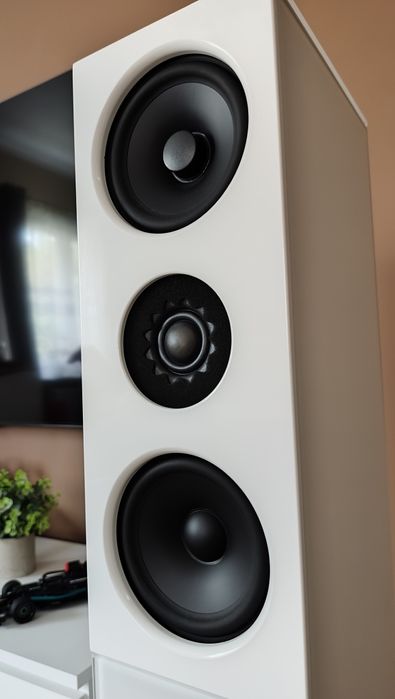 Audio Physic Classic 10