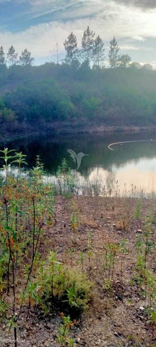 Terreno Rustico Com 6 Hectares Com Uma Lagoa Em Perna Seca - Messines