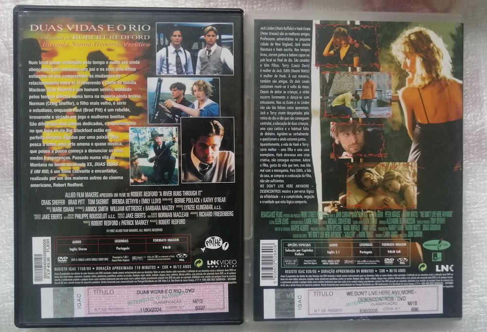 Duas vidas e o rio Robert Redford Brad Pitt Desencontros