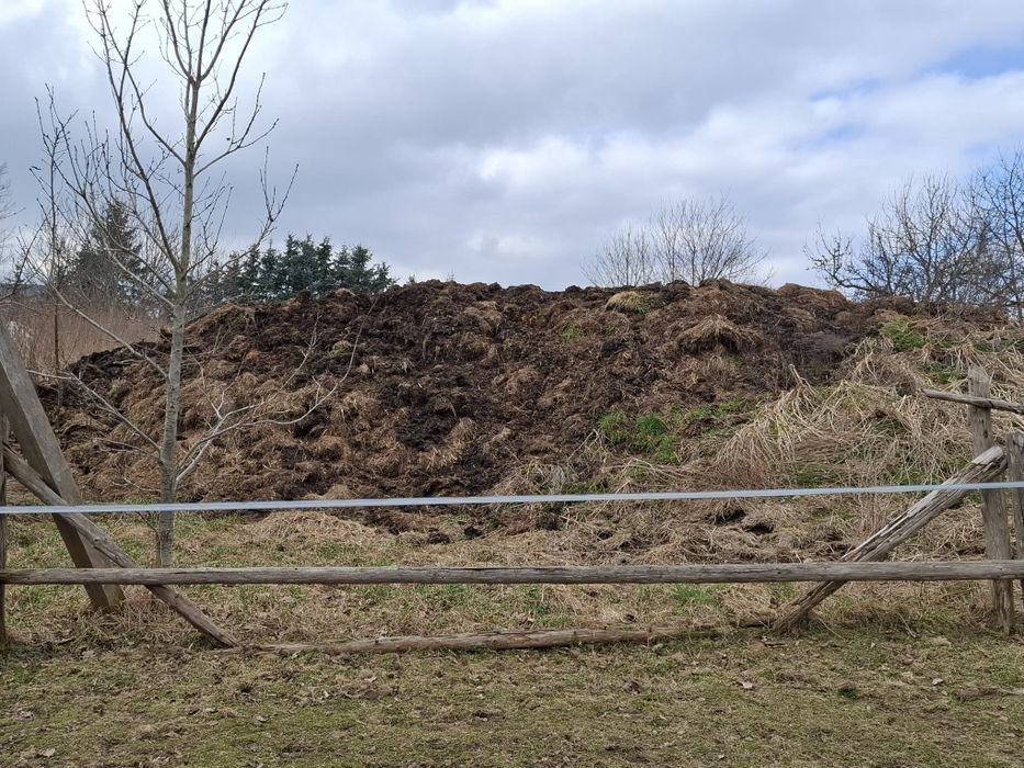 Obornik koński kilkuletni 60ton