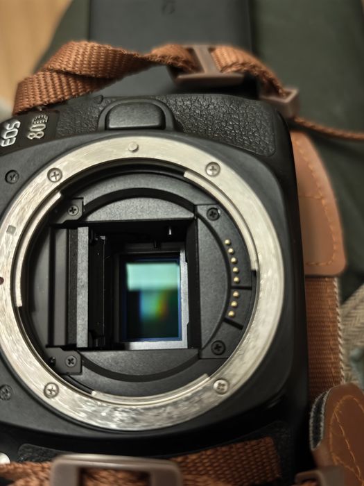 Canon EOS 80D + Lentes Profissionais (Tamron, Canon, Sigma)