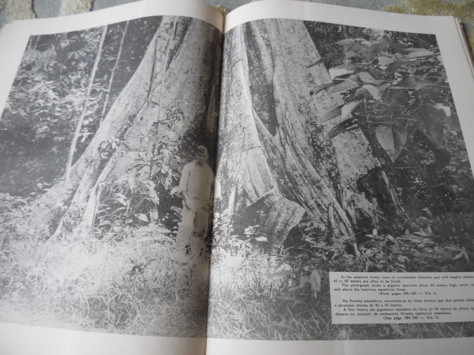 Enciclopédia dos Municípios Brasileiros 1958 - Raro