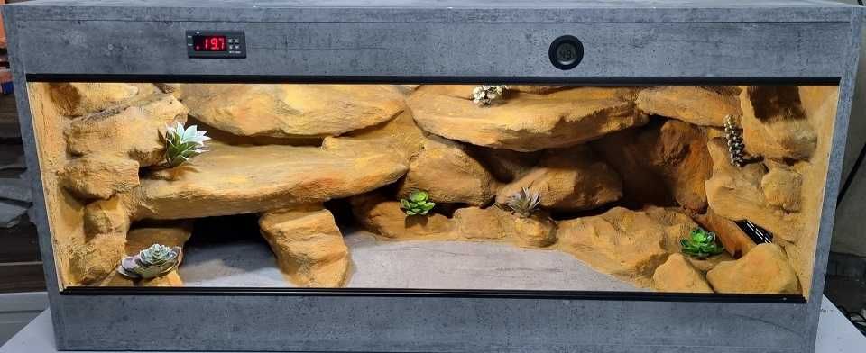 Terrarium  120x50x50  na zamówienie dla agamy gekona