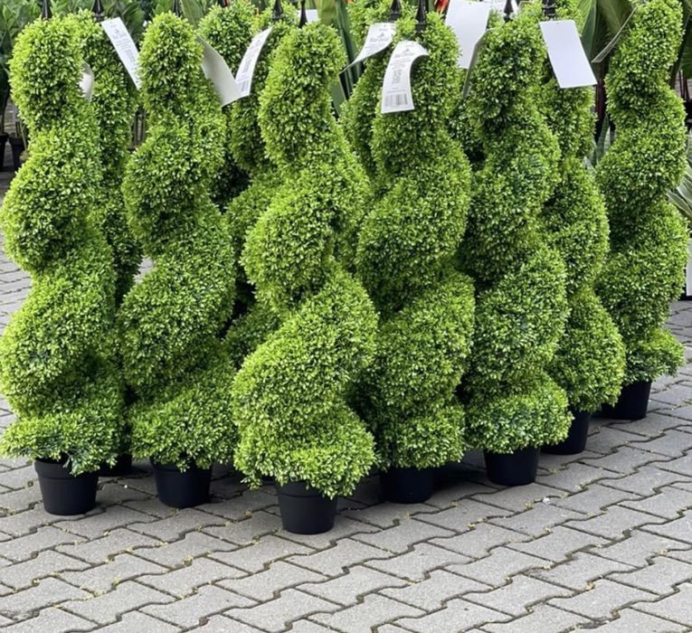 Sztuczny bukszpan spiralny jak żywy kręcony premium