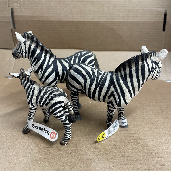 Familia zebra sleich