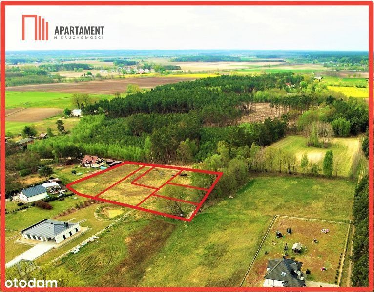 Toporzysko - działki ze ścianą lasu 800-1000 m2