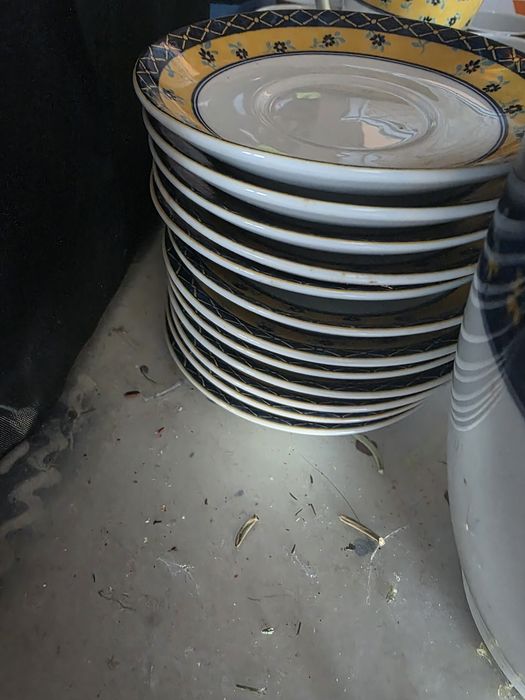 Canárias VA serviço café