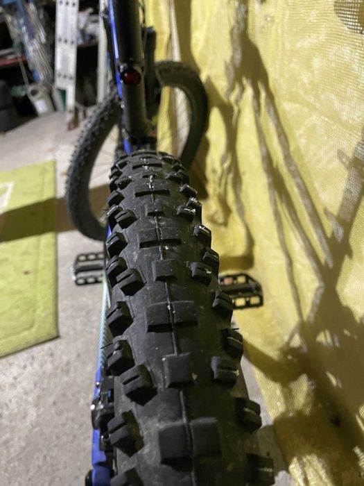 Dartmoor Blackbird Junior 2022