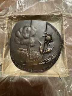 Medalha Irene Vilar - Cesário Verde + Livro