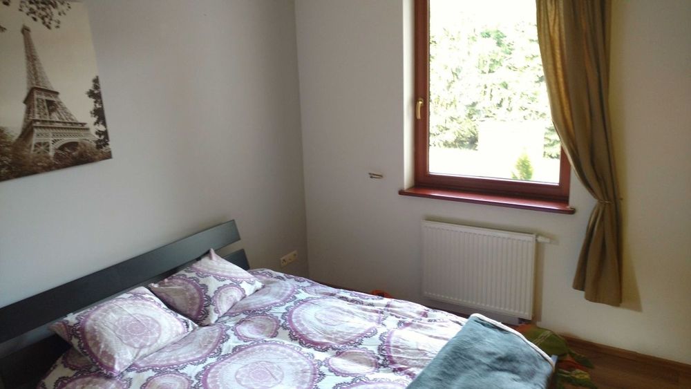 Dom do wynajęcia Lupstych