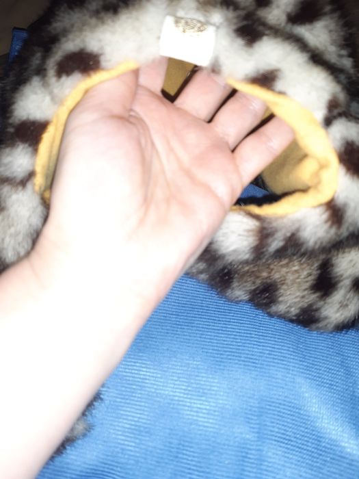 Хутряна шапка з вухами КОШЕЧКА с ушками новая меховая шапка