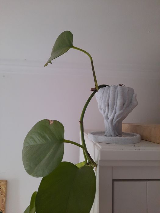 Vaso decorativo artístico em 3D – mão surreal, inclui planta