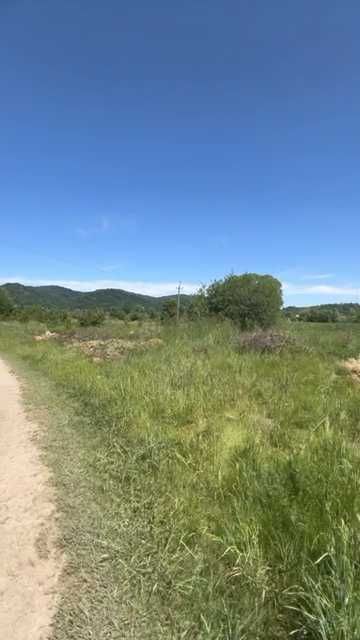 Земля в карпатах 270 $ за сотку  біля т. Київ-Чоп 1.7 Га (садівництво)