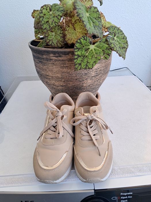 Tenis pepe geans  10€