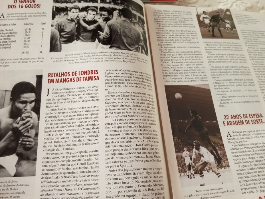 "Magriços" (Sobre o mundial de futebol de 1966)