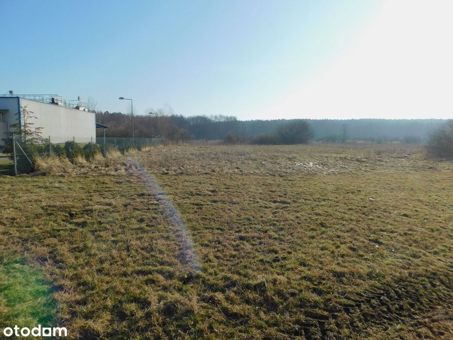 Syndyk sprzeda - Mogielnica, dz. nr 1656 i 1745 - Widok 3