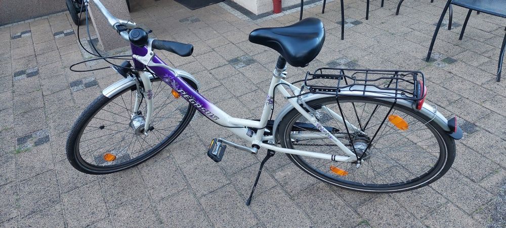 Rower damka marki Pegasus Arktis na kołach 28