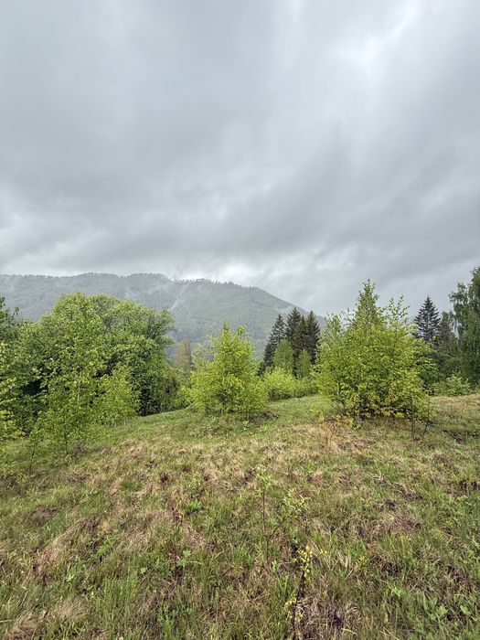 Земельна ділянка Славсько 37.5 соток