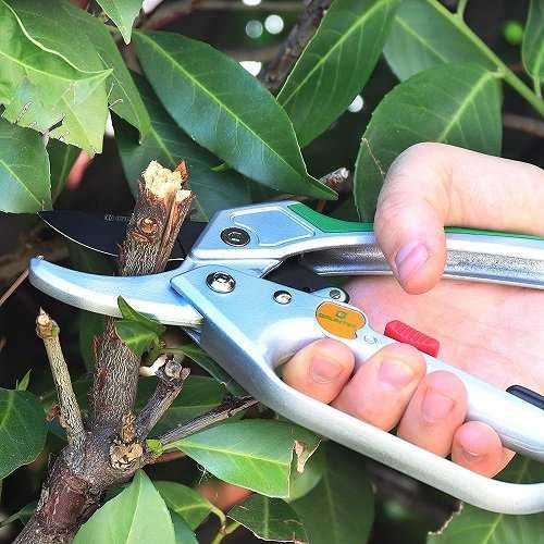 Секатор Gruntek Kondor 200 мм. (295200200). Новий.