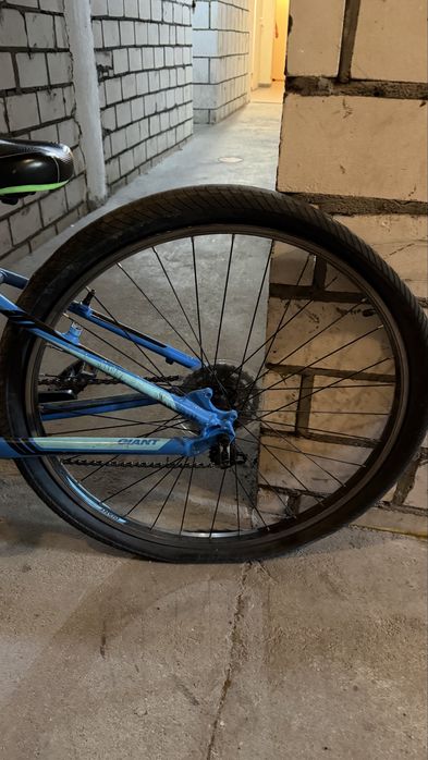 Rower giant revel rama XXS