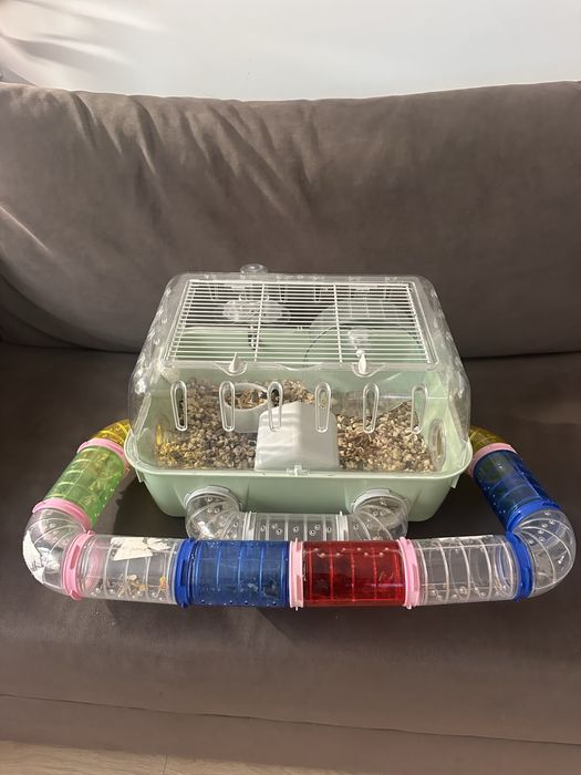 Хомʼяк з кліткою, клітка для хомʼяка