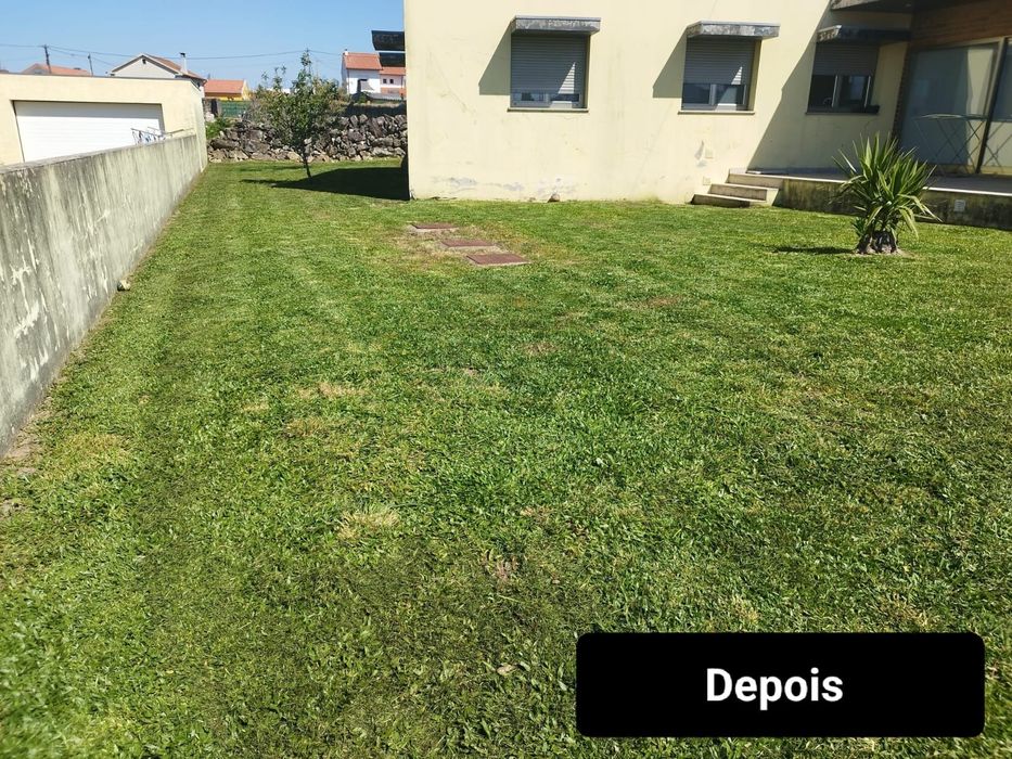 Jardinagem e Manutenção de Jardim