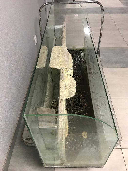 Продаю аквариум