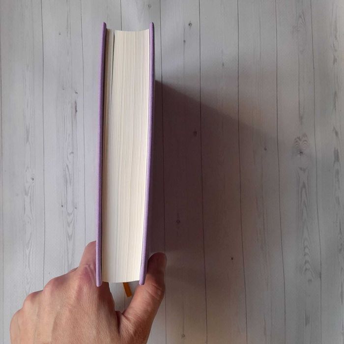 Ліна Костенко триста поезій