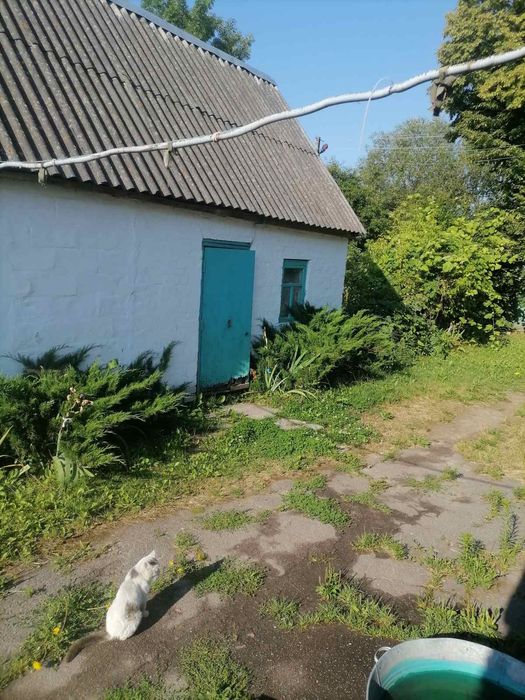 Село Дівочки Черняхівський район Житомирська область