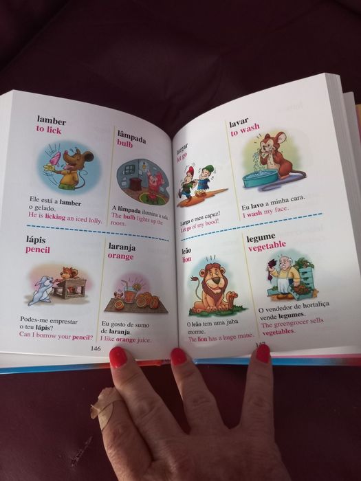 Dicionário Português Inglês ilustrado - Primeira Biblioteca