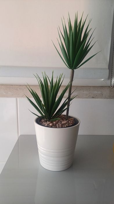 Vaso ikea + planta  (novo)