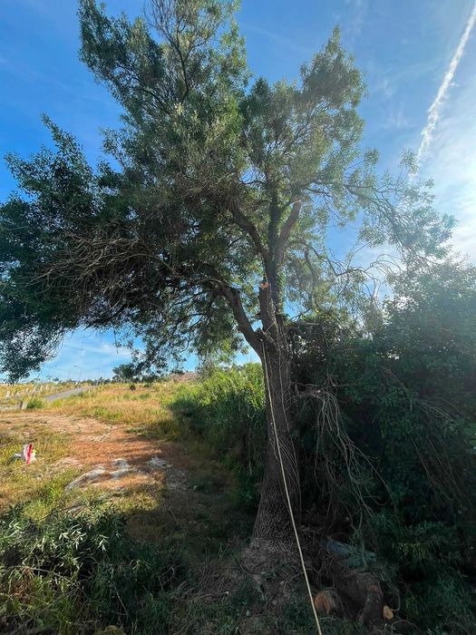 Limpeza de Terrenos