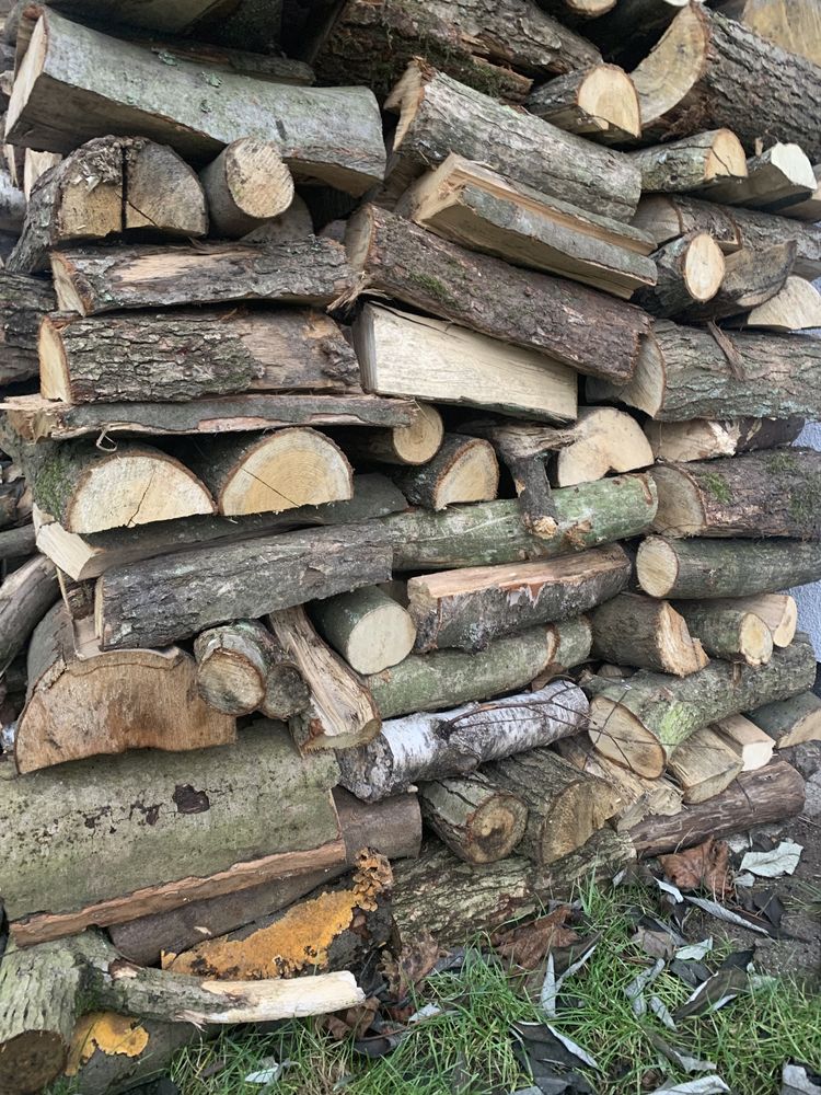 Best Firewood: Heat Values and Wood-Burning Tips