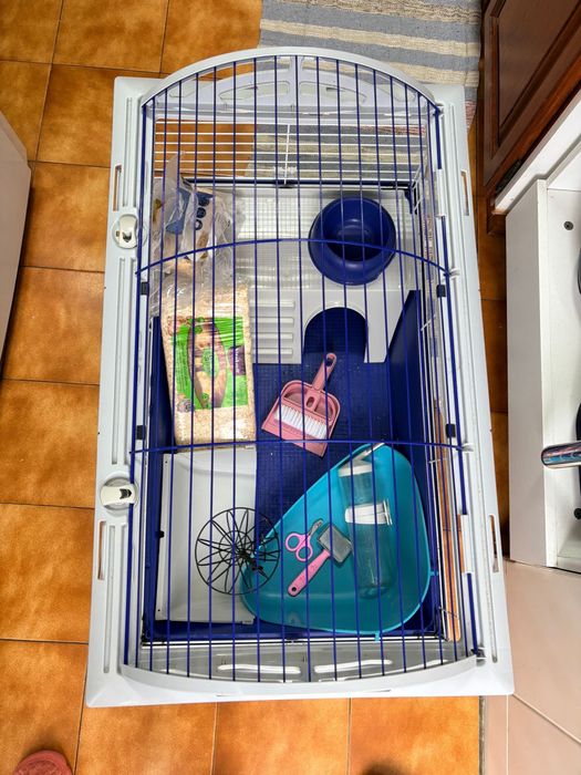 Porquimho da india - Itens