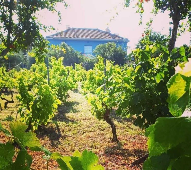 Casa à venda T6  Herdade Tomar