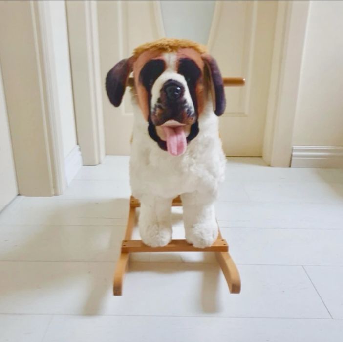 Pies Bernardyn na biegunach