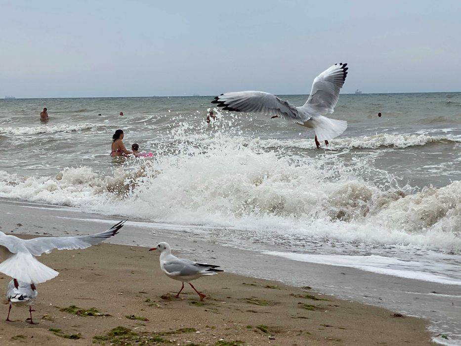 Будинок на узбережжі. Санжійка.