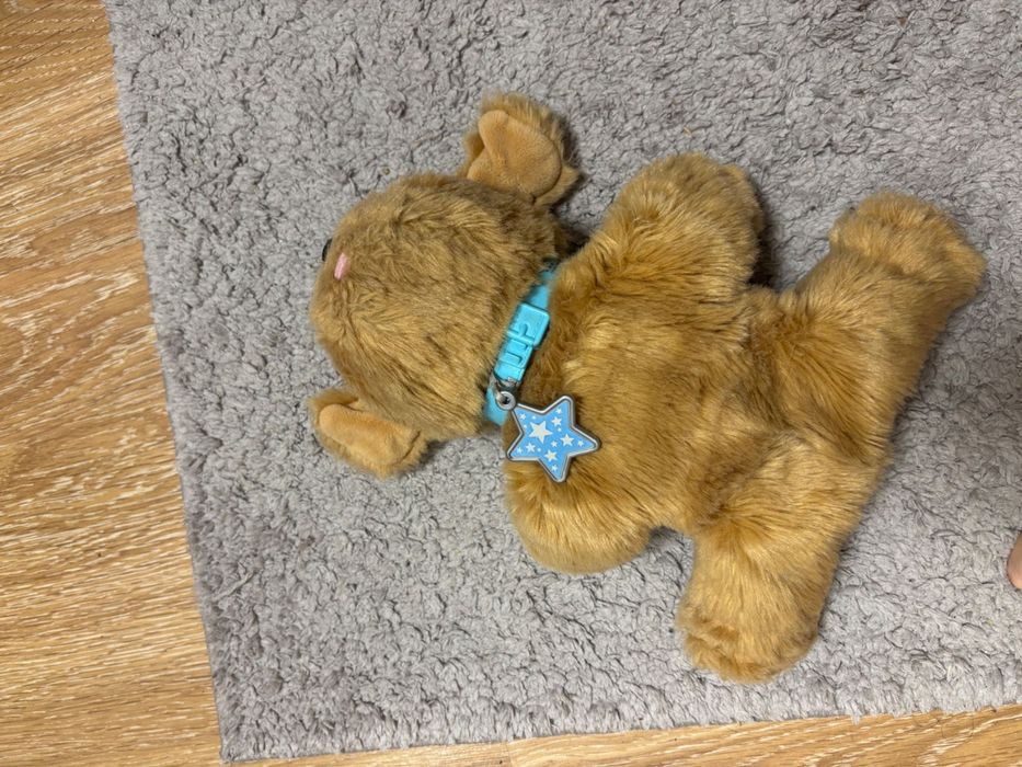 Інтерактивна іграшка собачка Moose Little Live Pets My Dream Puppy