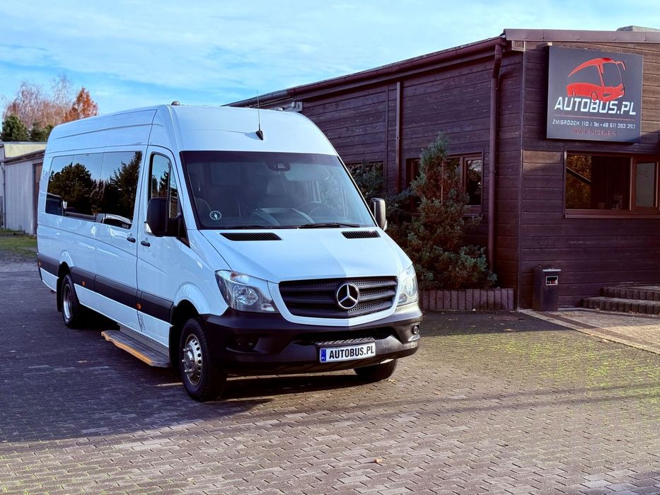 Mercedes-Benz SPRINTER 516  EURO 6 +Winda 2x Klimatyzacja