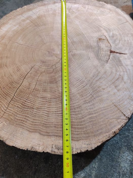 Dębowy Krażek sprzedam