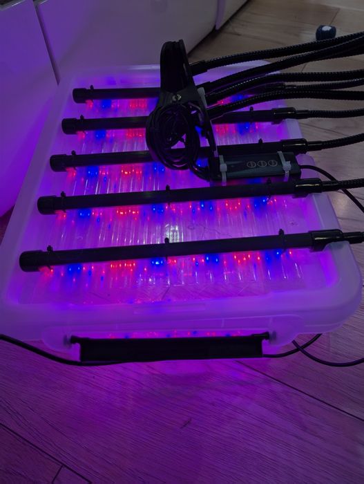Lampa do roślin Mini Growbox 5xLED – Gotowy system.LED Grow Light 5 głowic Full Spectrum + Timer