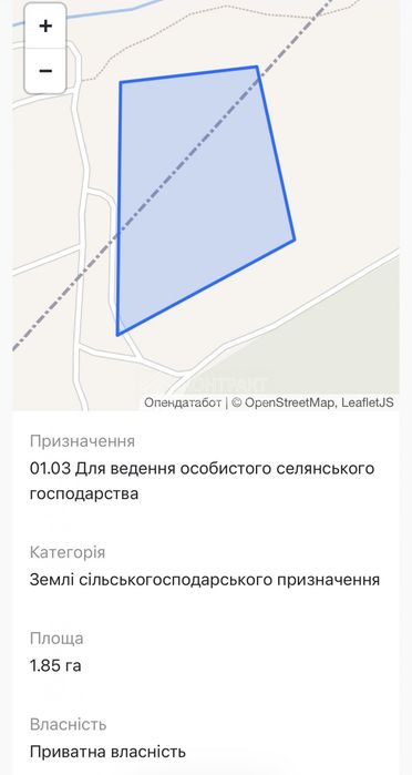 Фото ділянки