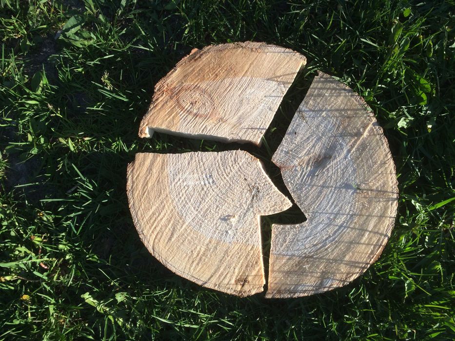 ekopuzzle dla dzieci