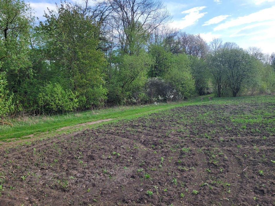 Земельна ділянка 27 соток, Велика Березовиця