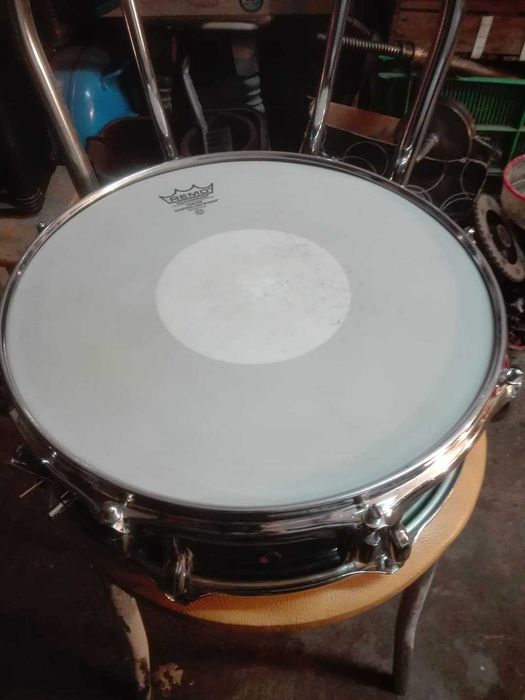 Amati Lignalone Vintage