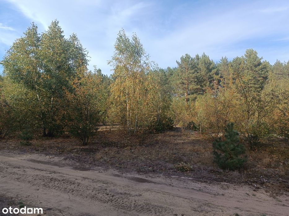 Działka budowlana 2250 m² blisko lasu